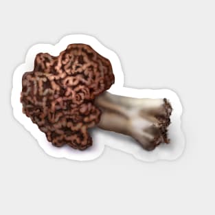 False Morel (Gyromitra esculenta Sticker